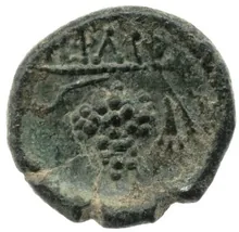 coin rev