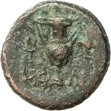 coin rev