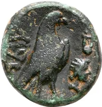 coin rev