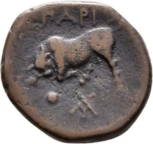 coin rev