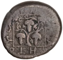 coin rev