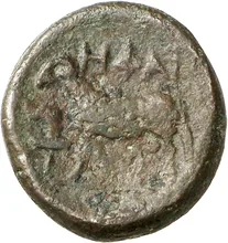 coin rev