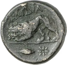 coin rev