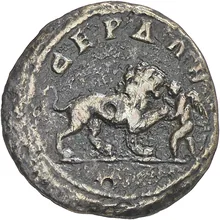 coin rev
