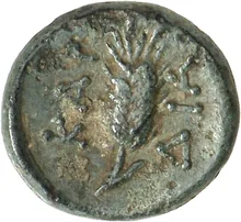 coin rev