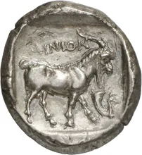 coin rev