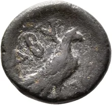 coin rev