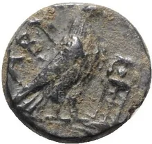 coin rev