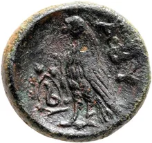 coin rev