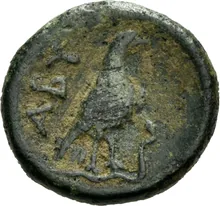 coin rev