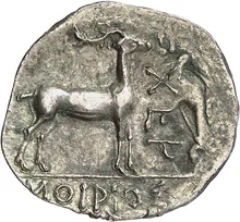 coin rev