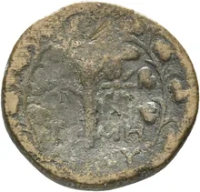 coin rev