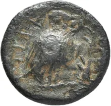 coin rev