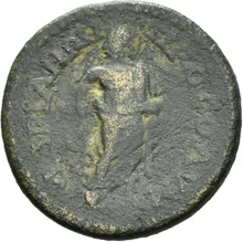 coin rev