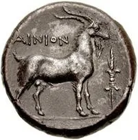 coin rev