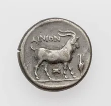 coin rev