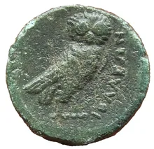 coin rev