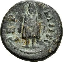 coin rev