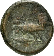 coin rev