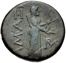 coin rev