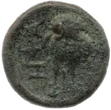 coin rev