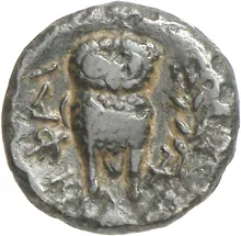 coin rev