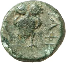 coin rev