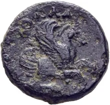 coin rev