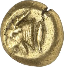 coin obv