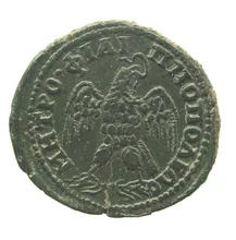coin rev