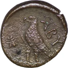 coin rev