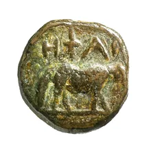 coin rev