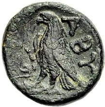 coin rev