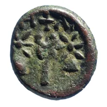 coin rev