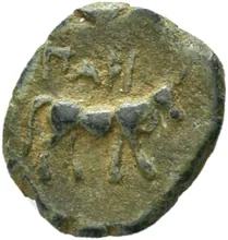 coin rev