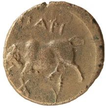 coin rev