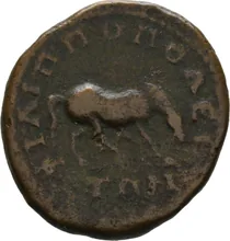 coin rev