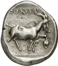 coin rev