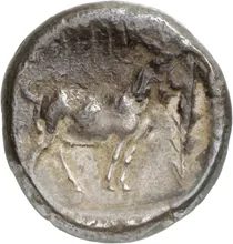 coin rev