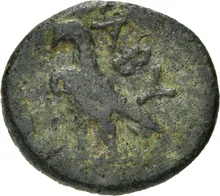 coin rev