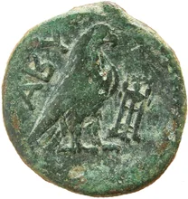 coin rev