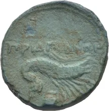 coin rev