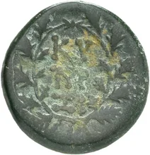 coin rev