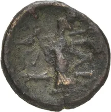 coin rev