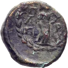 coin rev