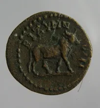 coin rev