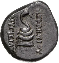 coin rev