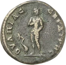 coin rev
