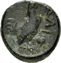 coin rev