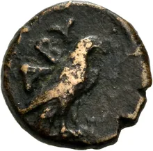 coin rev